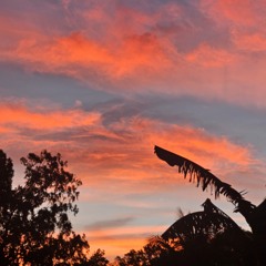 Mckay - Sorry ❤️‍🩹