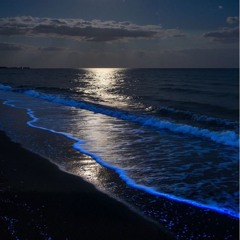 Shine