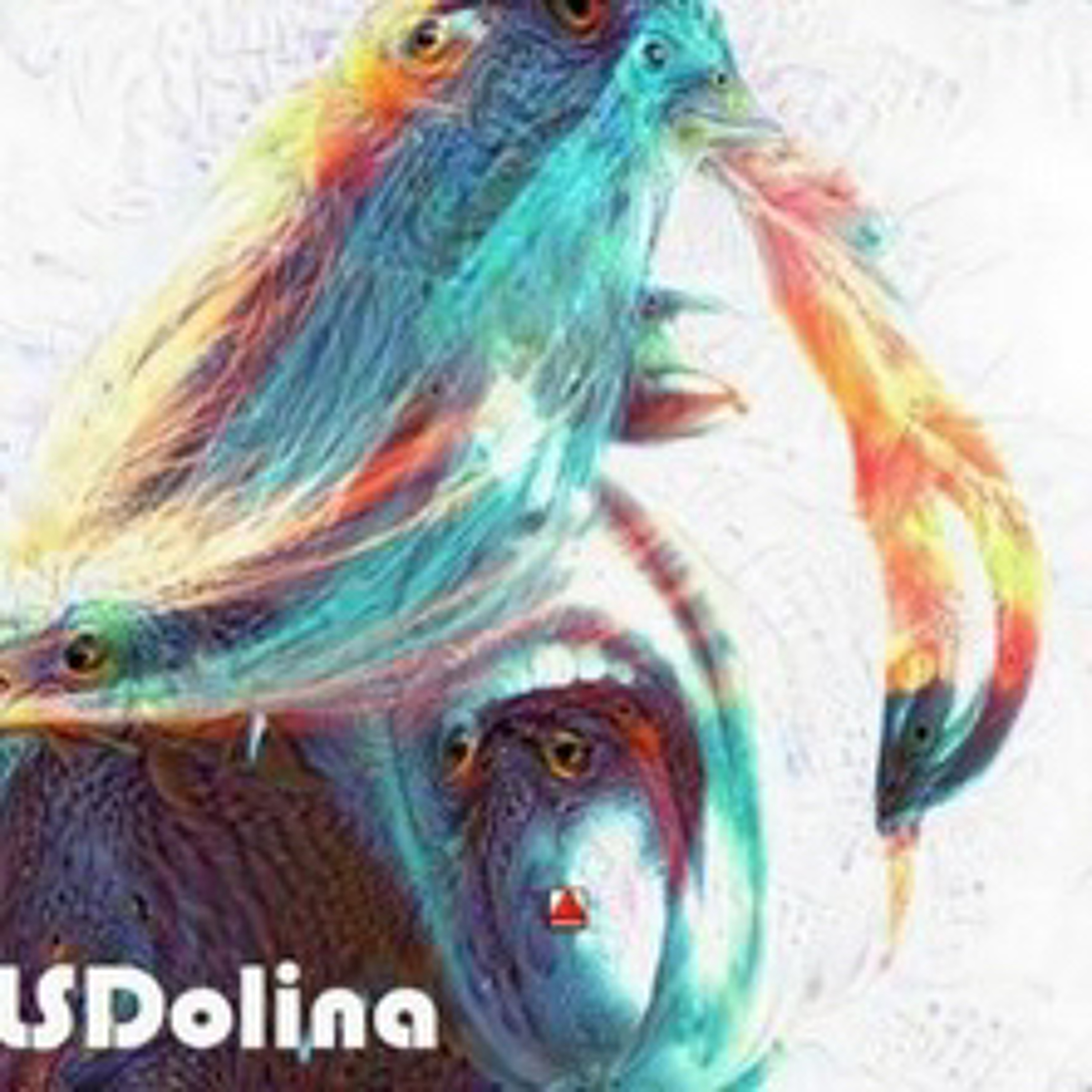 LSDolina