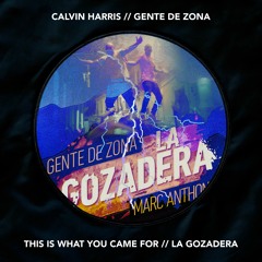 This Is What You Came For Vs. La Gozadera (Brian Ribera Mashup) - [Calvin Harris & Gente De Zona]