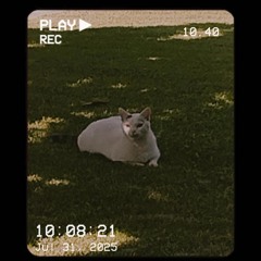 slovensky underground 🇸🇰✨