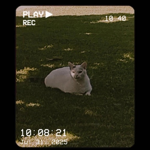 slovensky underground 🇸🇰✨