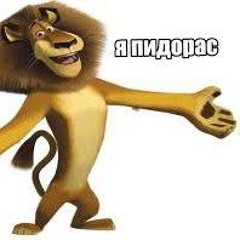 На 5 струнах