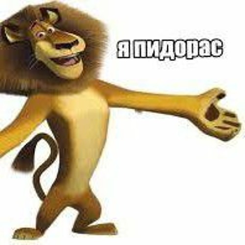 На 5 струнах