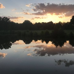 Thoughts & Reflections