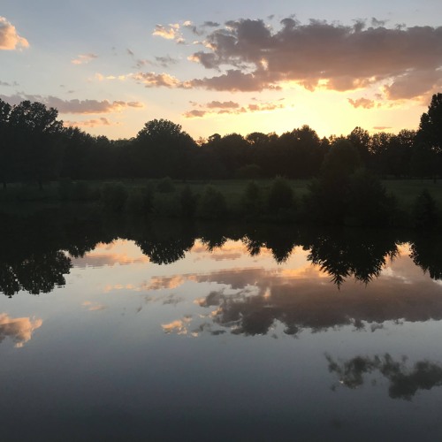 Thoughts & Reflections