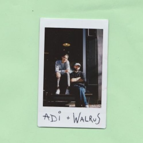 Download: Crevette Records x Basic Moves x Cartulis Music - Adi B2B Walrus