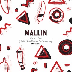 Mallin - Cant U See (Mallin, Sam Dexter Re-Seasoning)