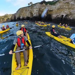 Best La Jolla Kayak And Snorkel Prices Reviews