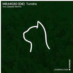 PREMIERE: Mr. Mojo (DE) - Tundra [PURRFECTION]