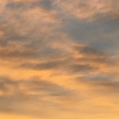 "Music Makes Me Happy" Preview