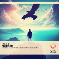 Ensine - Freedom (Original Mix) [ESH330]