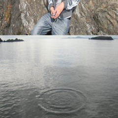 gone fishing cover