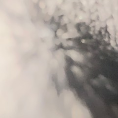 Boyfren In My Basement (demo)