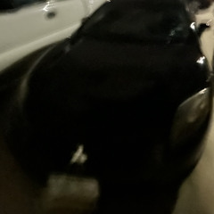 WHY YOU SAY? (prod. milen x lorell)