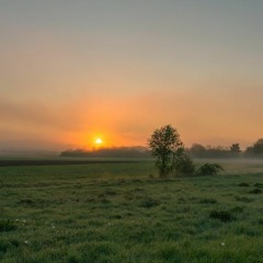Ein Neuer Tag - Günter Amann