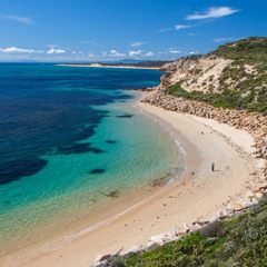At Mornington by Gwen Harwood