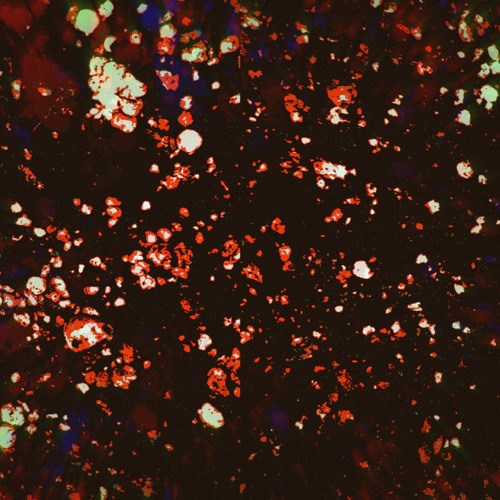 KISSEMGOODNIGHT w/ AMORPHOU6 (prod. TRIPLESIXDELETE)