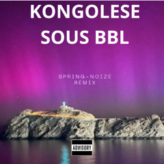Theodora - KONGOLESE SOUS BBL (Spring-Noize REMIX)