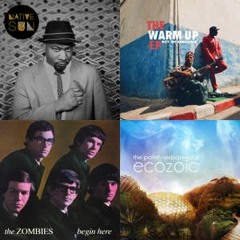 Blitz the Ambassador