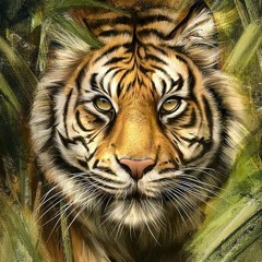 Tiger Trance Dappulu Mix By Dj Rajkumar Sonu.mp3