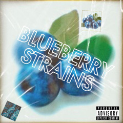 Blueberry strains ft Txby .mp3