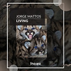 Jorge Mattos - Living