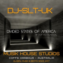 DIVIDED STATES OF AMERICA