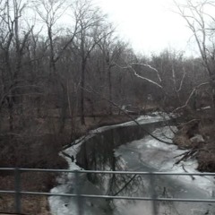 I Saw Water