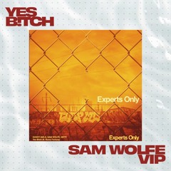 YES B!TCH - Sam WOLFE VIP [FREE DOWNLOAD]