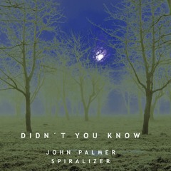 John Palmer + Spiralizer - Didn't You Know