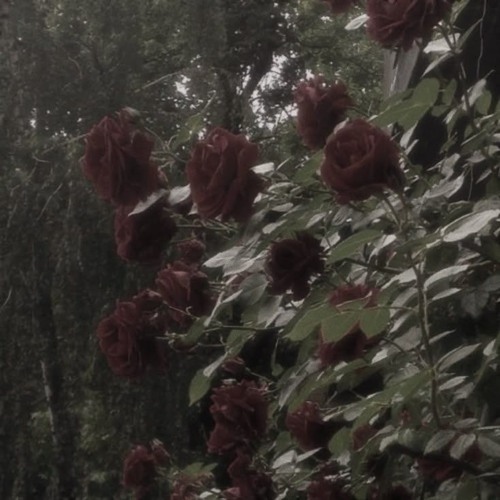 pick em up + bloodoverintent, noitra (prod. tenzup + darealavy)