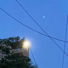 fool (feat. 임세민 )