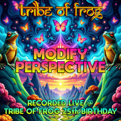 Modify Perspective - Recorded at TRiBE of FRoG 25th Birthday 2025