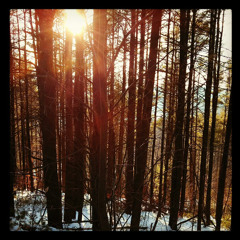 Rain_after_the_game@Comp 3 guitar, studio motif xf8