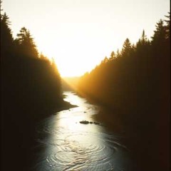 Echoes in the Silence