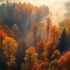 Autumn Soul
