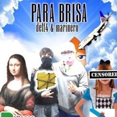 PARA BRISA  x dett4