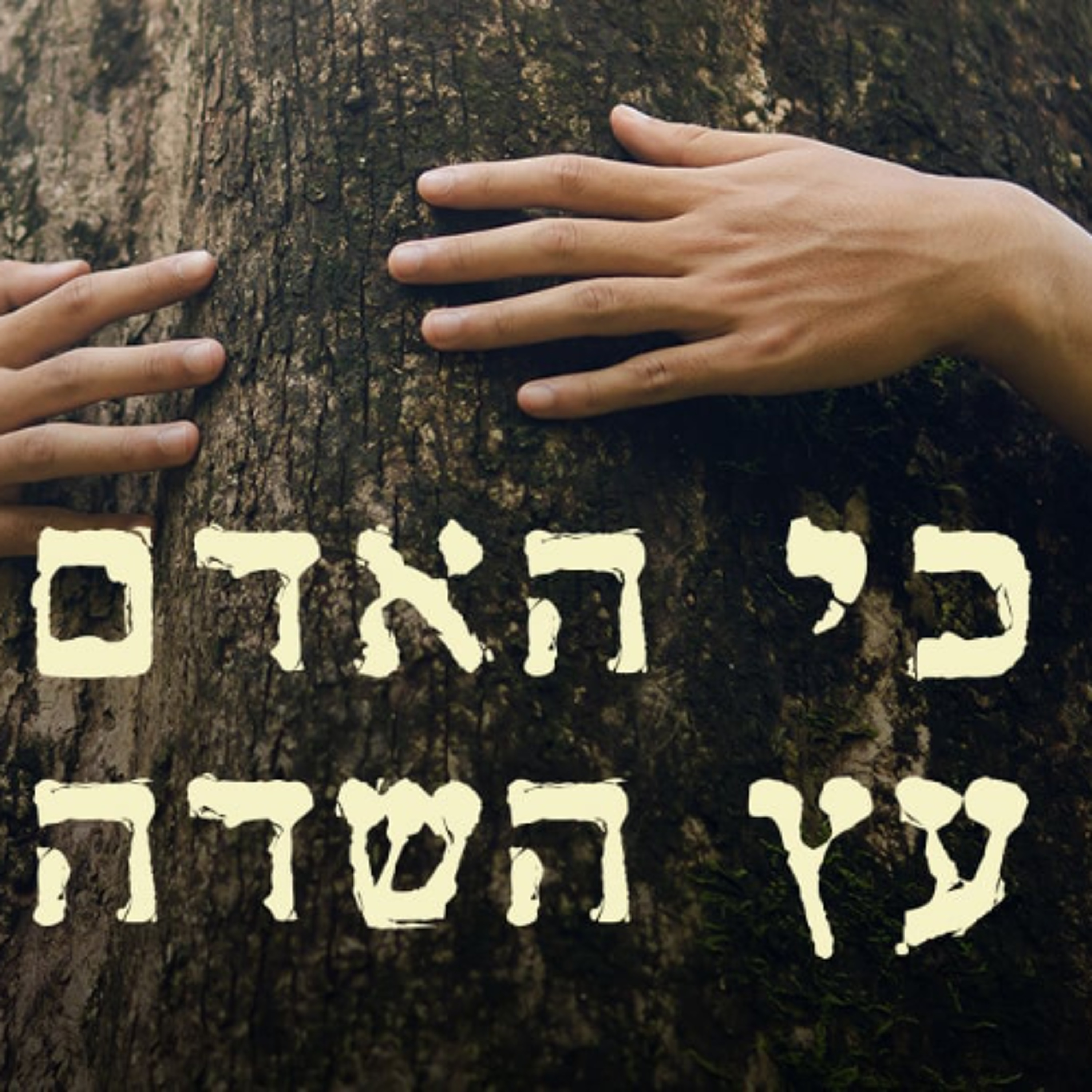 על איסור כריתת עצי המאכל - והזיקה למצב המלחמה והתודעה הדיס-הרמונית. מאמר מיוחד לחג האילנות טו׳ בשבט episode artwork