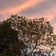Ngủ ngoan em nhé - Grey D