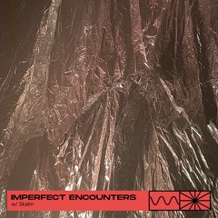 Imperfect Encounters 10/23 w/ Skalm