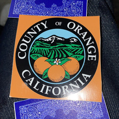 SstrictlyOC🍊
