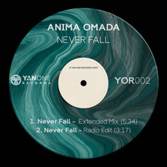 Never Fall (Extended Mix)