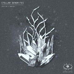 Stellar Dendrites - intuition (Elira Remix)