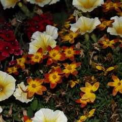 Give Me Some Kind Of Sign