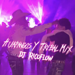DJ RICOFLOW- TRIBAL MIX 2023