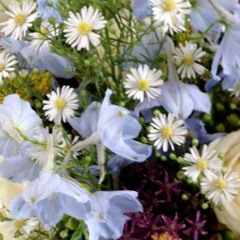 The Flower - Ex Corde Vocal Ensemble