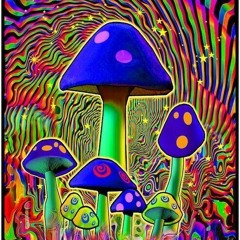 Take A Trip
