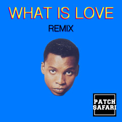 Haddaway - What is love (Patch Safari remix)