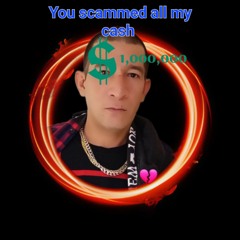 You scammed all my cash (2024 single)
